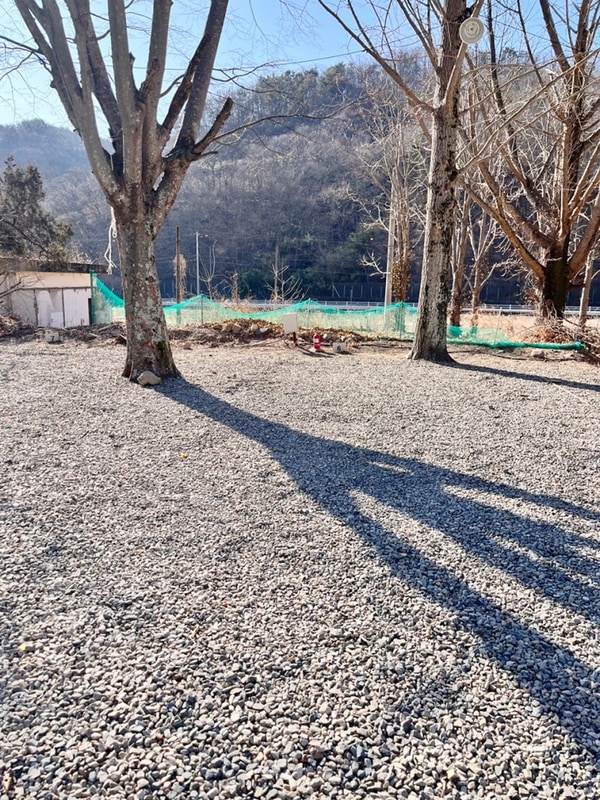 캠핑 일기 #17 경주 쿠키 오토캠핑장(2025.1.11 - 12)