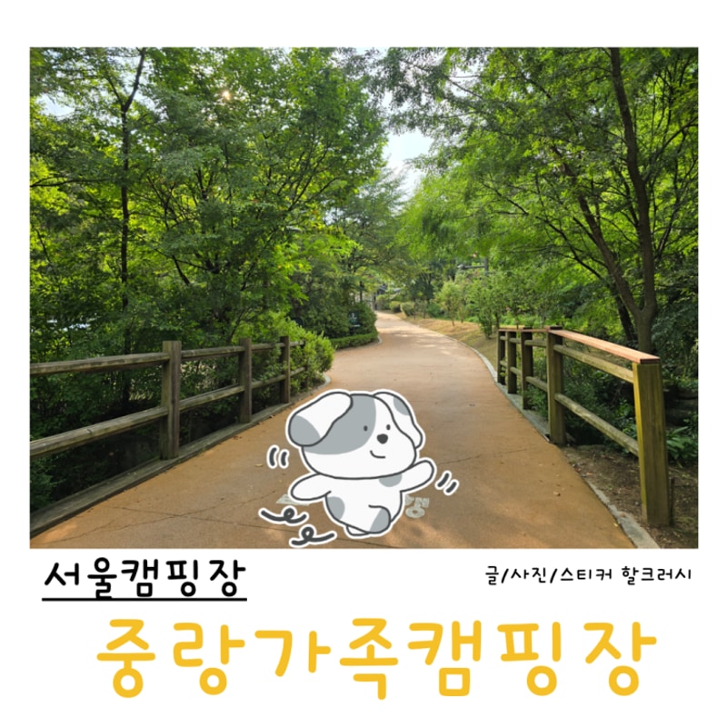 서울캠핑장 - 중랑가족캠핑장 캠핑 사이트 둘러보기