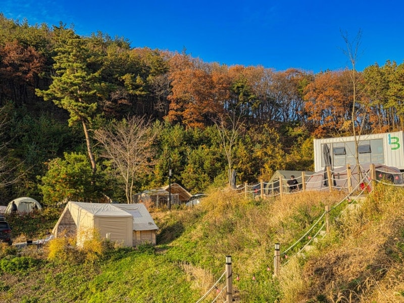 서울 근교 단풍 키즈캠핑장 안성 캠프그라운드 화우 B6 명당...