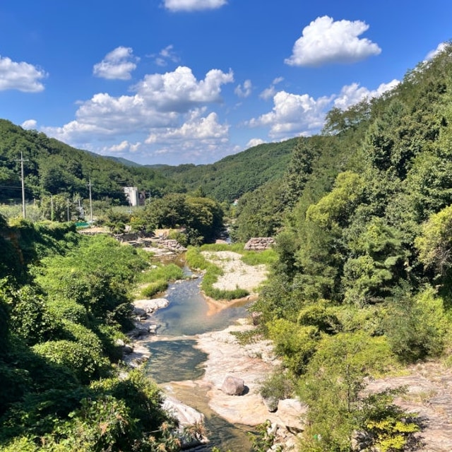 돌담캠핑장 대표 사진