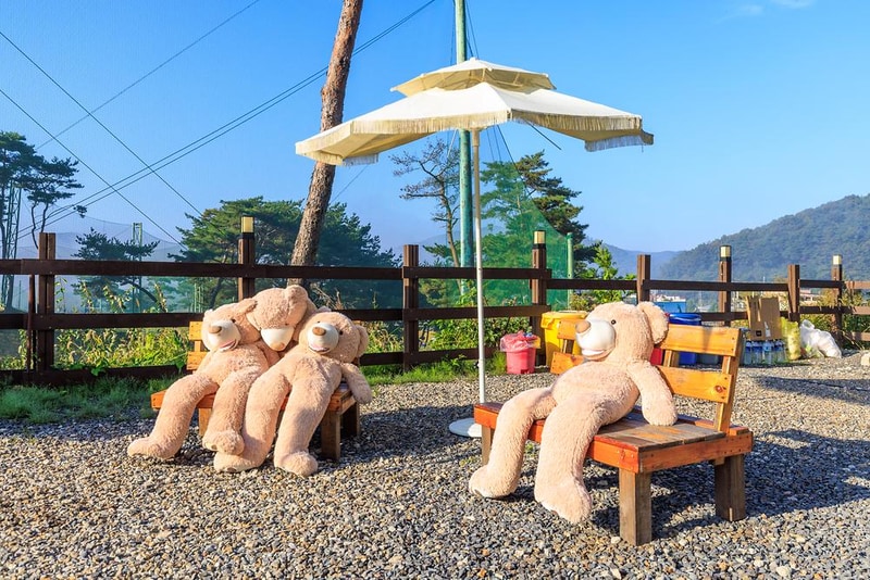 토마스캠프&레드캐빈 시설 사진 3