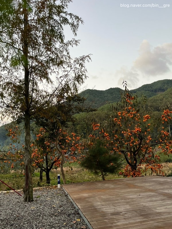 ⛺️ [산청]  내공리700 캠핑장