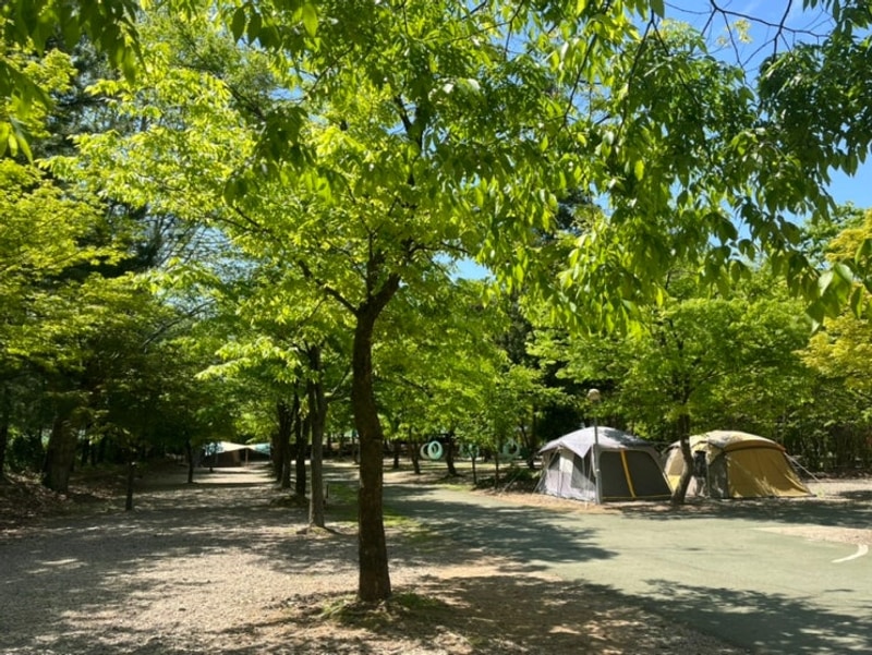 [상주캠핑] 청주 근교 캠핑장 상주우산캠핑장 A3, 상주캠핑장...