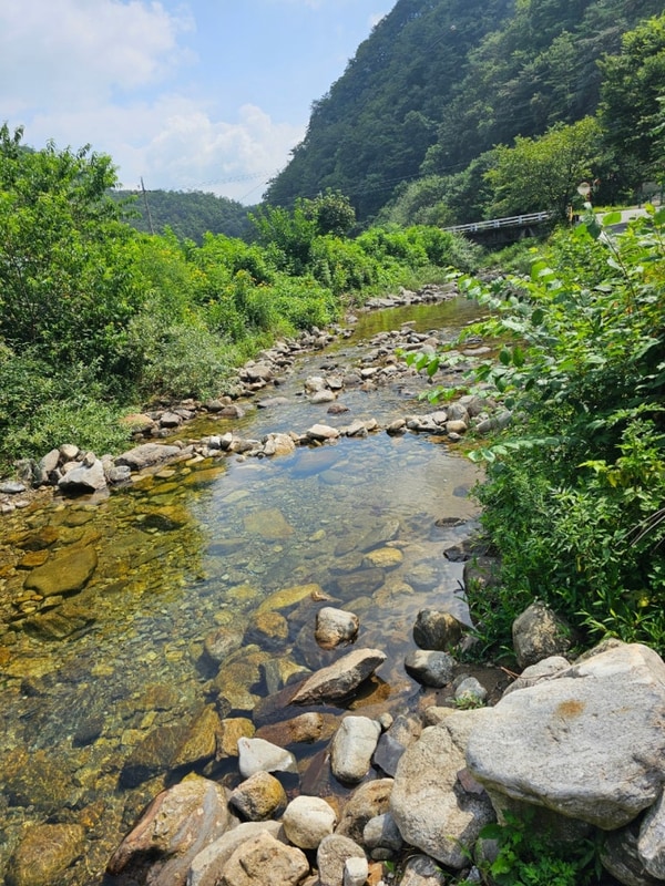 56th영월 길캠프 넘 좋아서 쓰는 후기