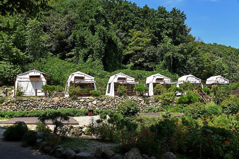 돌담캠핑장 시설 사진 11