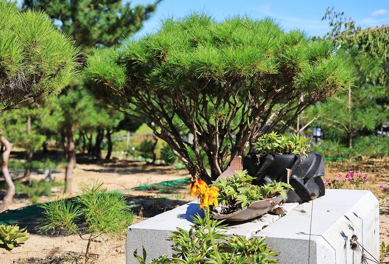 사발소캠핑장 시설 사진 3