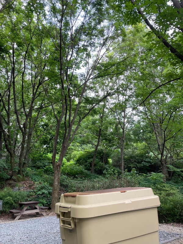 서울 근교 캠핑장 추천, 중랑숲 캠핑장, 중랑가족캠핑장