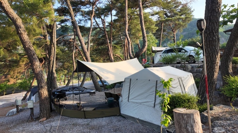 #애견동반캠핑 영월 한반도캠핑장