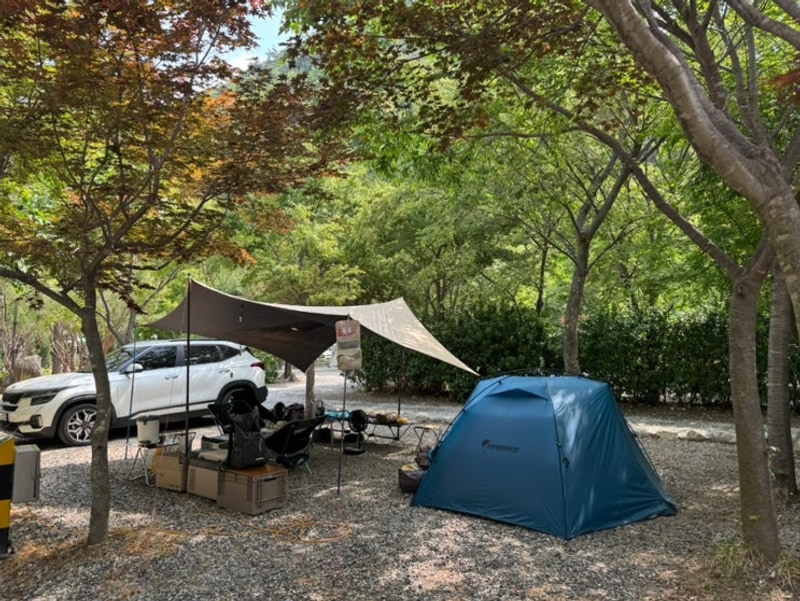 [캠핑] 전북 무주_무주수목원캠핑장 B1사이트 2박3일...