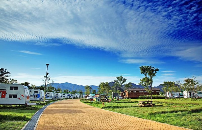 자라섬 캠핑장 대표 사진