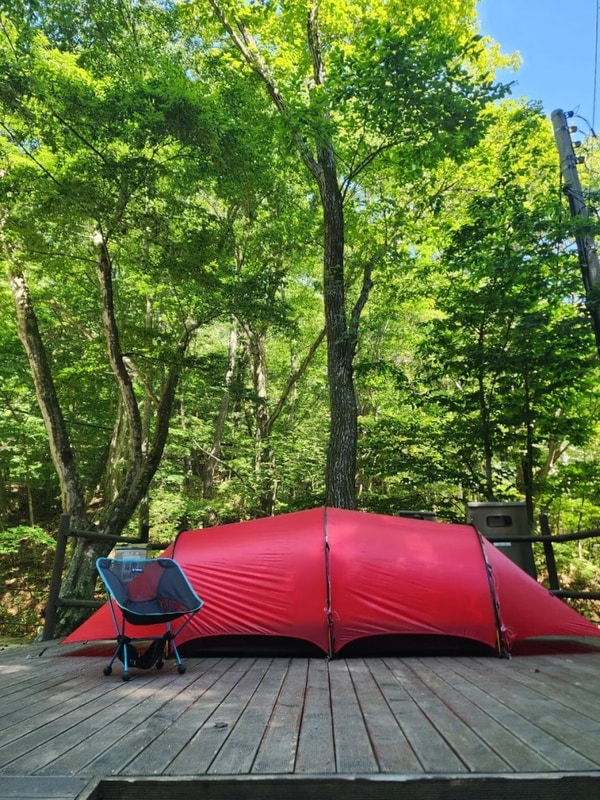 대프리카 보다 10⁰C 낮은 국립공원가야산 치인 야영장