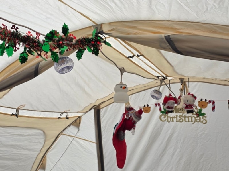 [충남/부여] 부여 사랑나무 캠핑장 / 전체대관, 5-5...