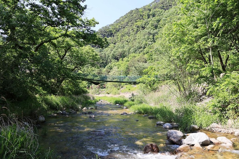 햇살글램핑 시설 사진 9