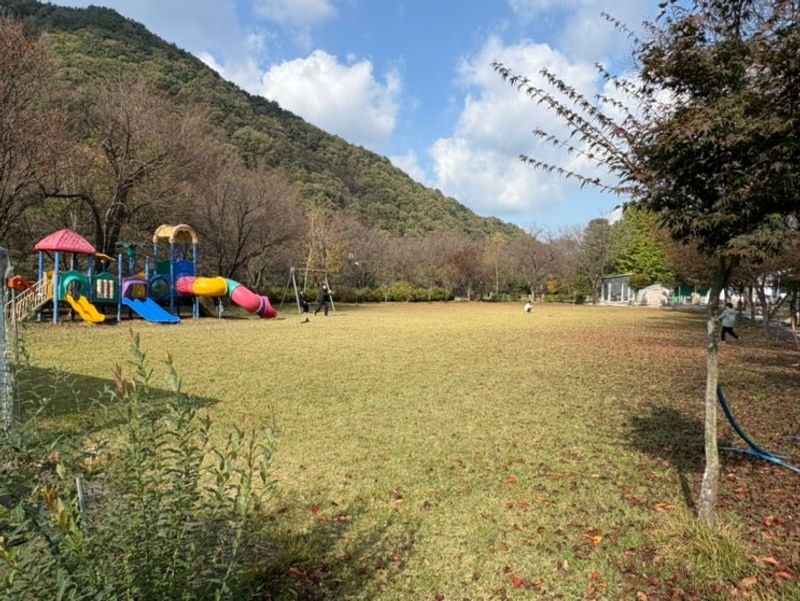 충북 괴산 ‘괴강관광농원’ 캠핑장 풀타프존에서 즐기는...
