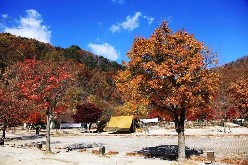 달궁자동차야영장 시설 사진 18