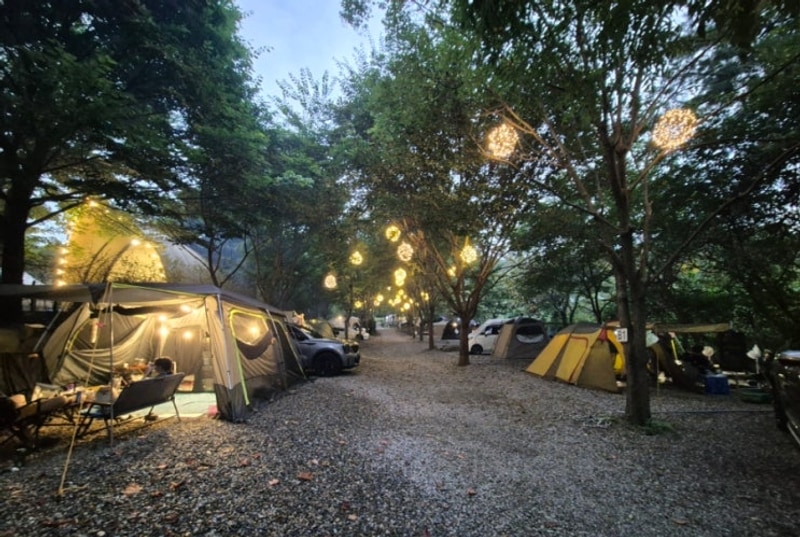 가평 하이몽 캠핑장 글램핑 이용후기, 애견동반 가능 (구...