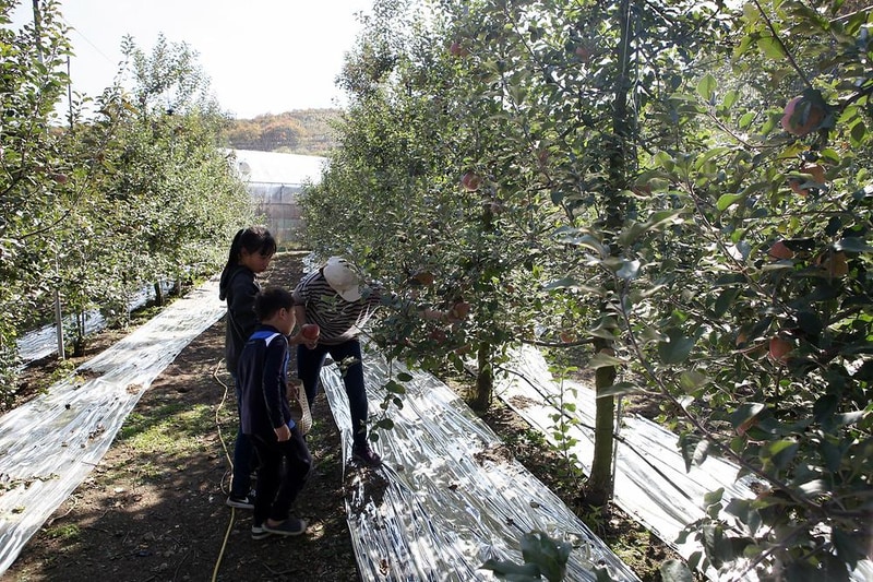 하마캠핑장 시설 사진 9