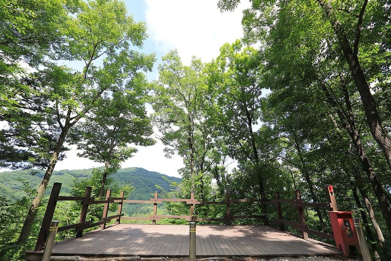 행복숲 체험원 시설 사진 19