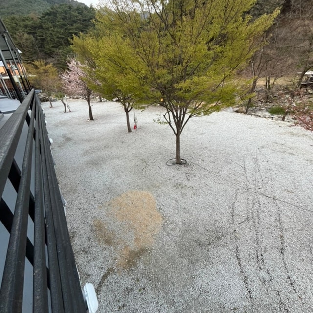 대박캠프 대표 사진