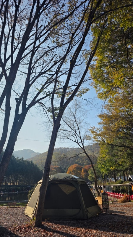 연천 | 낚시 할 수 있는 연몽캠핑장 A1 자리 후기