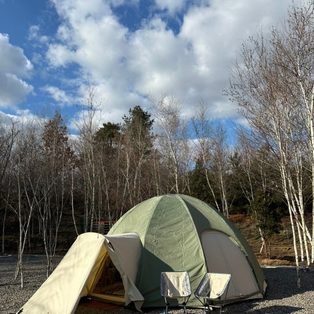 나무와 쉬리 대표 사진