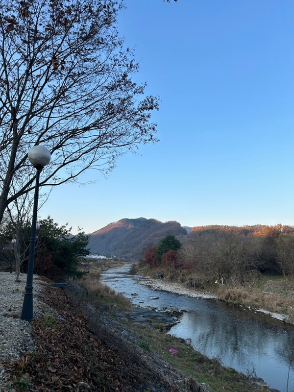 괴산 숲캠핑장 대관 후기 +화양구곡 산책