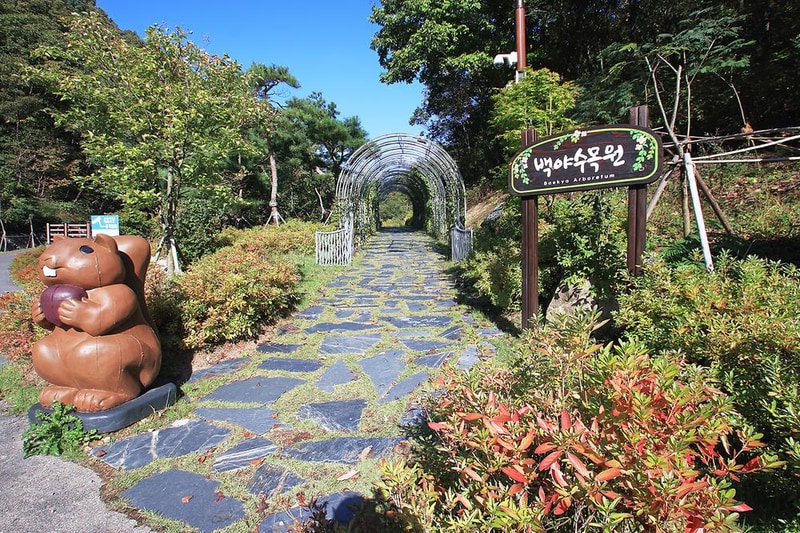 백야자연휴양림 오토캠핑장 시설 사진 11