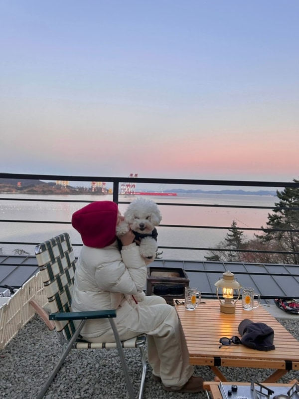 경남 애견동반 바다뷰 캠핑장 고성 해해해캠핑장 C2사이트 후기