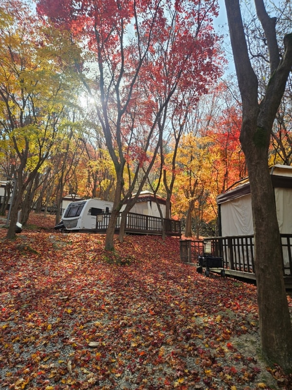 일상 | 이천 테르메덴 풀앤스파 카라반 가족여행 | 네이버...
