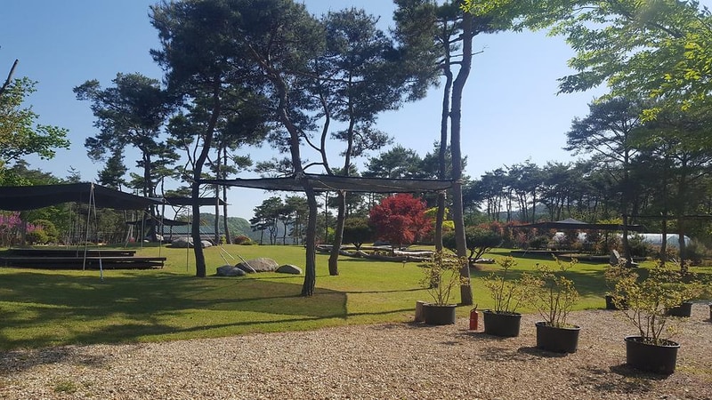 숲속의베리팜 시설 사진 13