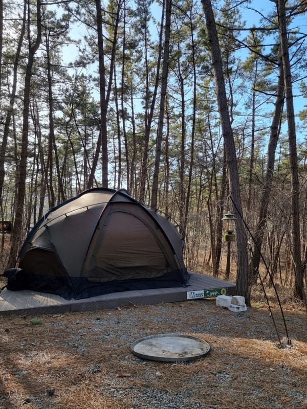 태안 우니메이카 캠핑장 명당 6번 사이트, 차 막혀도 또...