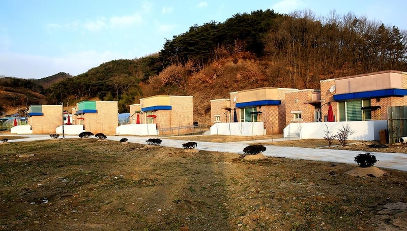 선돌느티나무캠핑마을 영농조합법인 시설 사진 6