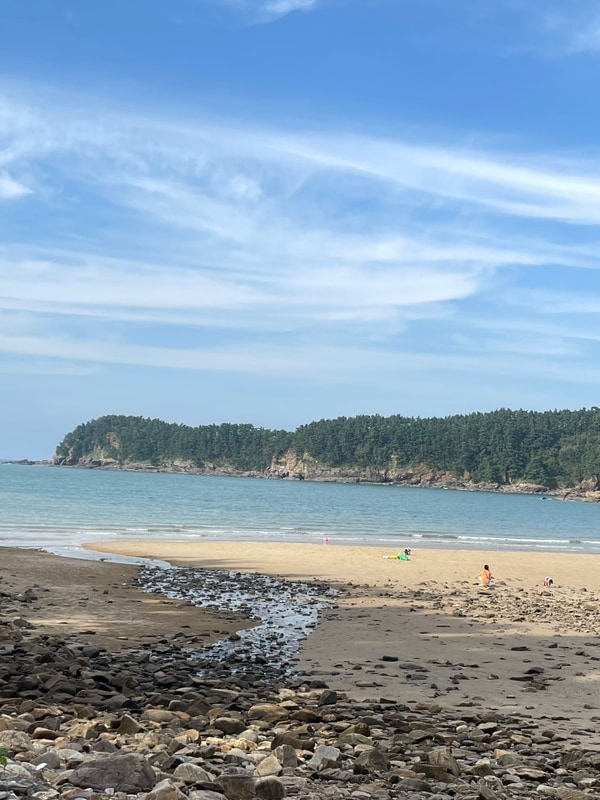 충남 태안 구름포해변캠핑장 애견동반 캠핑 해루질 후기