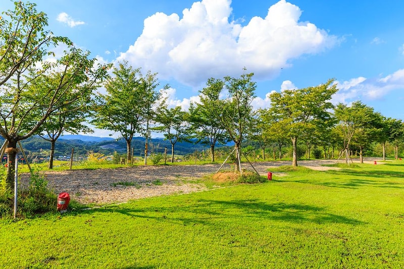 왕산골 관광농원 시설 사진 21