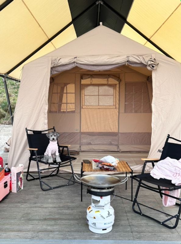 인천 강화스톤캠핑장 애견동반가능 타프존후기