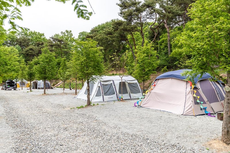수덕 캠핑장 시설 사진 9