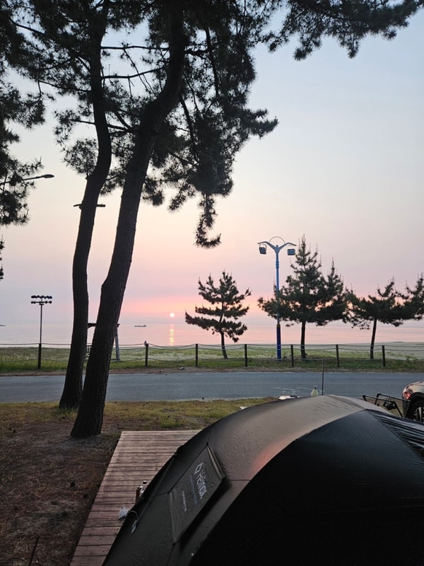 양양 바다뷰 북분솔밭캠핑장 C5 사이트 후기