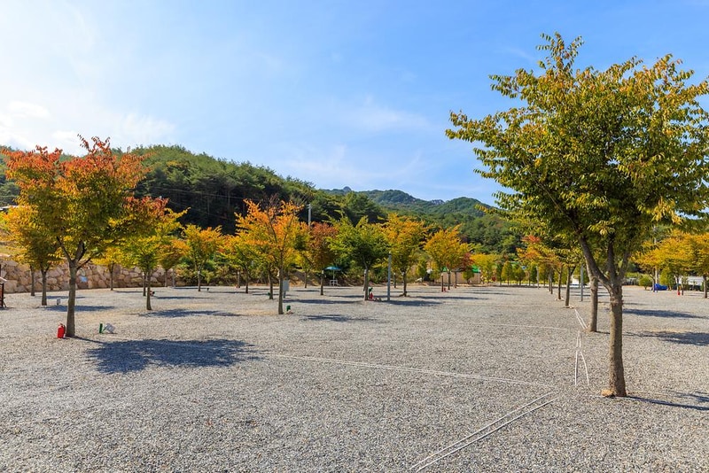 속리산365캠핑장 시설 사진 15