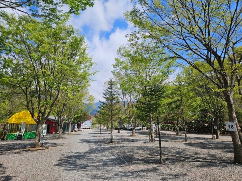영월캠핑장 시설 깔끔하고 가족 모두 만족한 법흥캠핑장...