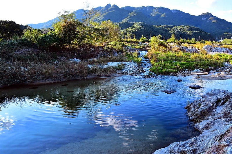 파인트리 캠핑장 시설 사진 13