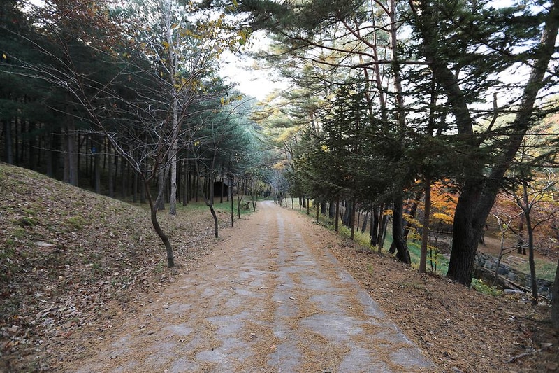 국립검마산자연휴양림 시설 사진 4