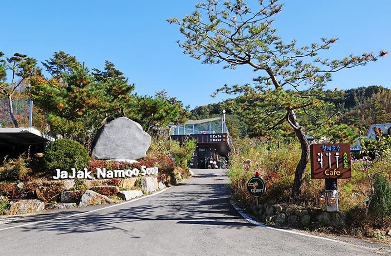 청계호수 자작나무숲 캠핑장 대표 사진