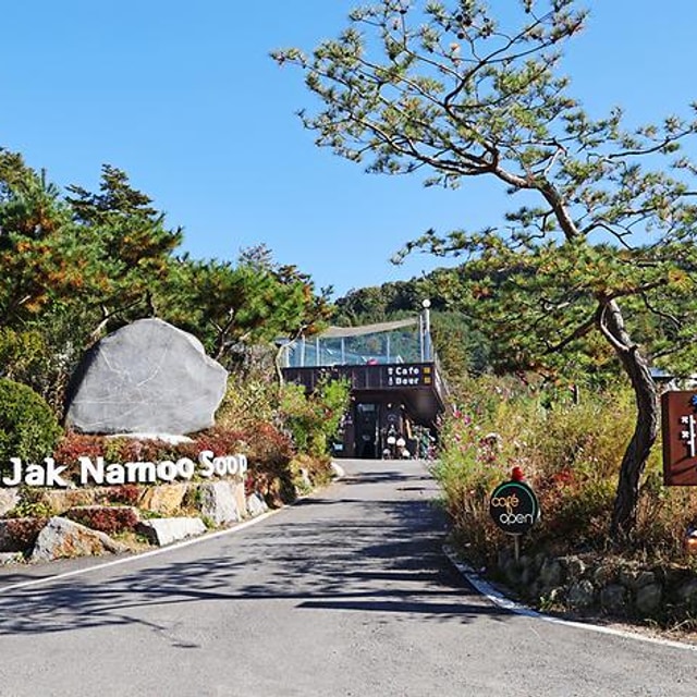 청계호수 자작나무숲 캠핑장