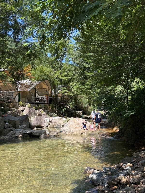 진안국제캠핑장 진안캠핑장 완주캠핑장 세종근교캠핑장 충남캠핑