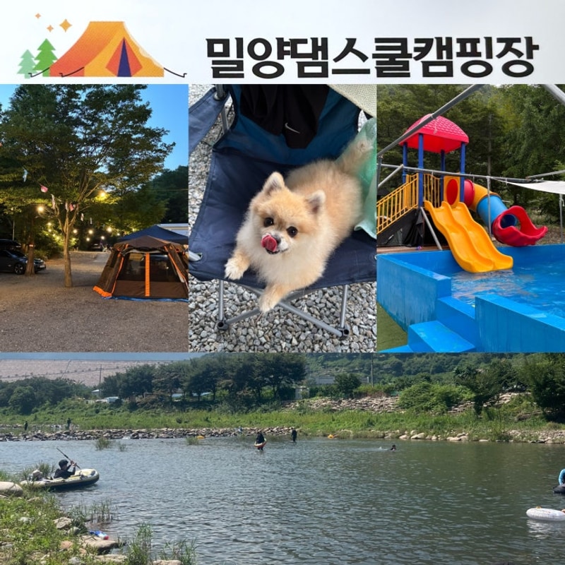 부산 근교 물놀이 계곡 캠핑 [밀양댐스쿨캠핑장] 애견동반 가능