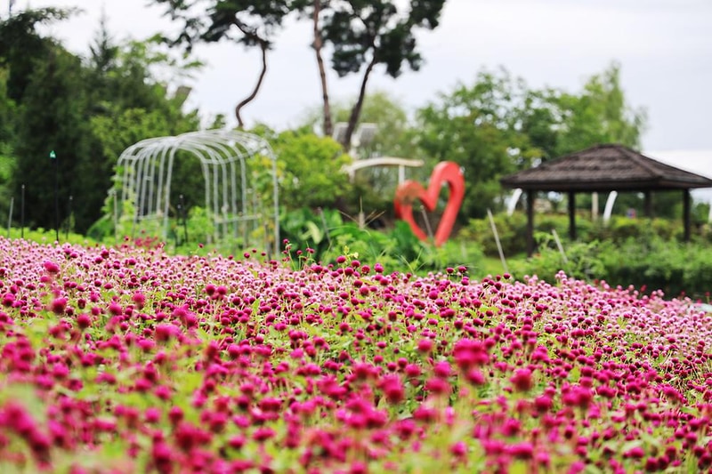 이천농업테마공원 국민여가캠핑장 시설 사진 14