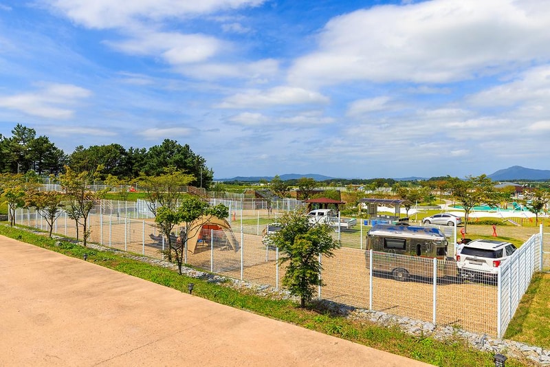의성펫월드 오토캠핑장 시설 사진 7