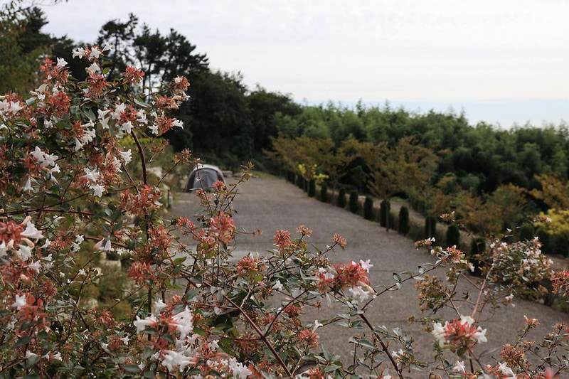 해오름 야영장 시설 사진 10