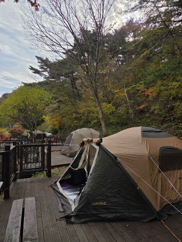 무등산 광주 화순 캠핑장 도원야영장 2박 후기