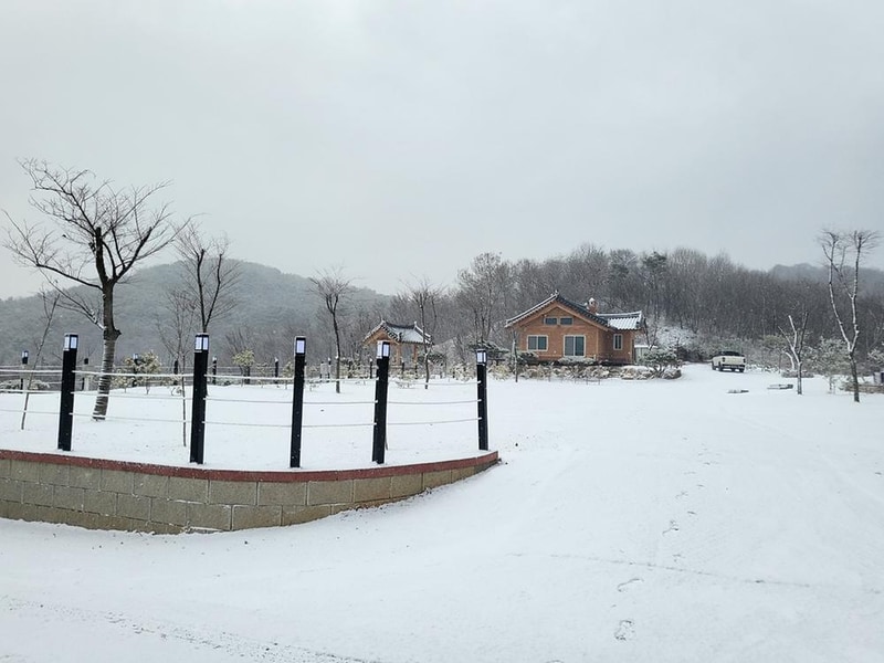 필(FEEL) 캠핑장 시설 사진 41